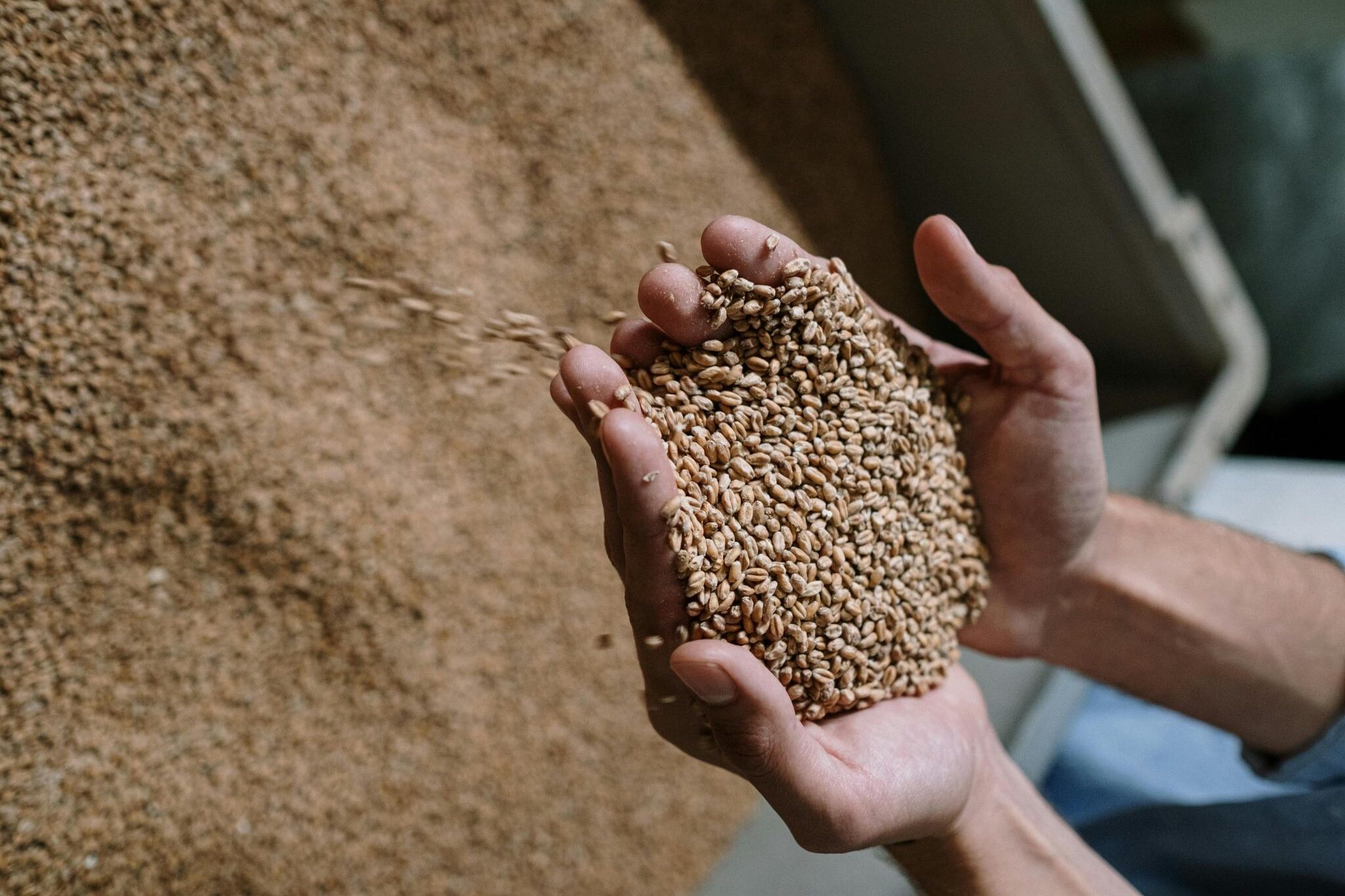 Bières artisanales français - Brasserie du Trèfle doré